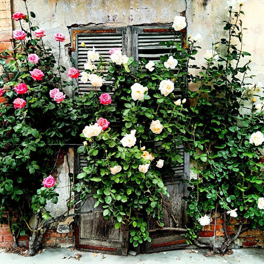 Teresa Al Belvedere Rooms&Holidayapartments Camere&Appartamenti Castellinaldo Esterno foto