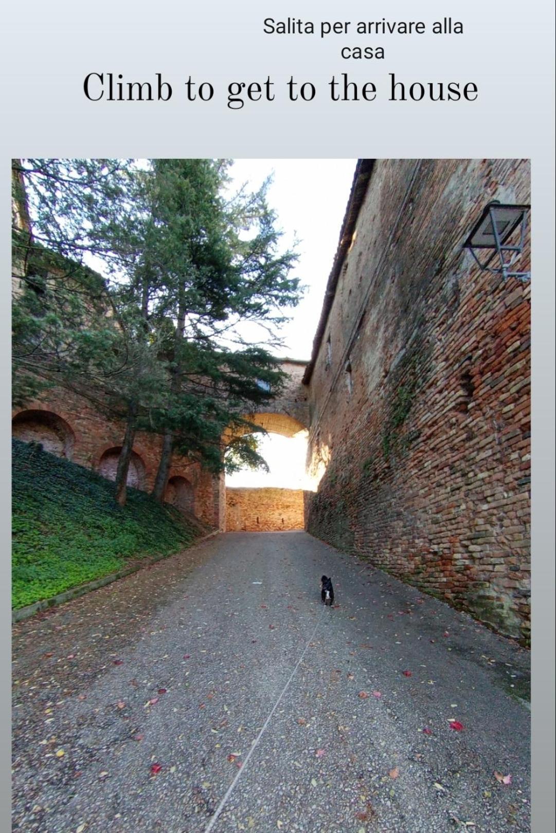 Teresa Al Belvedere Rooms&Holidayapartments Camere&Appartamenti Castellinaldo Esterno foto