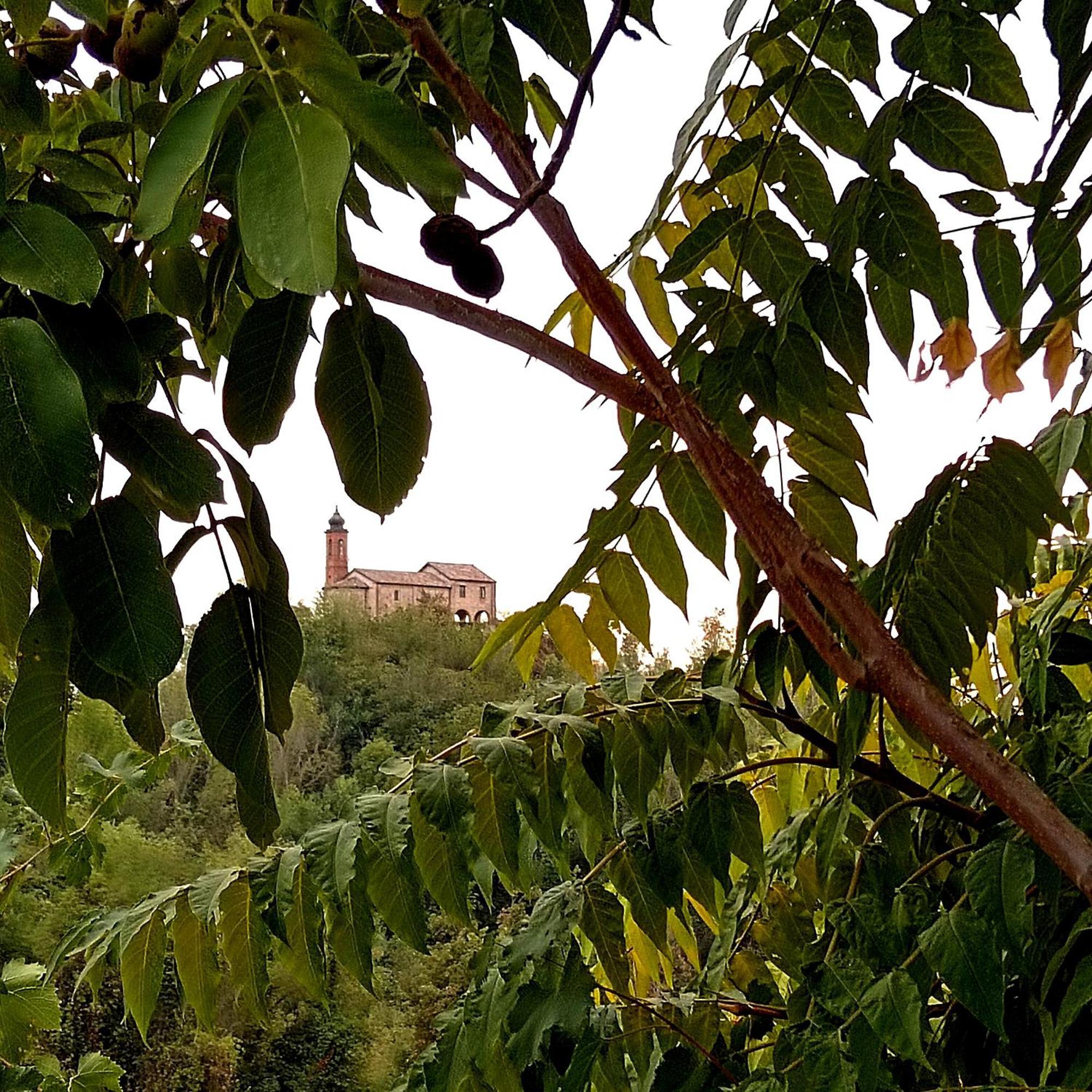 Teresa Al Belvedere Rooms&Holidayapartments Camere&Appartamenti Castellinaldo Esterno foto